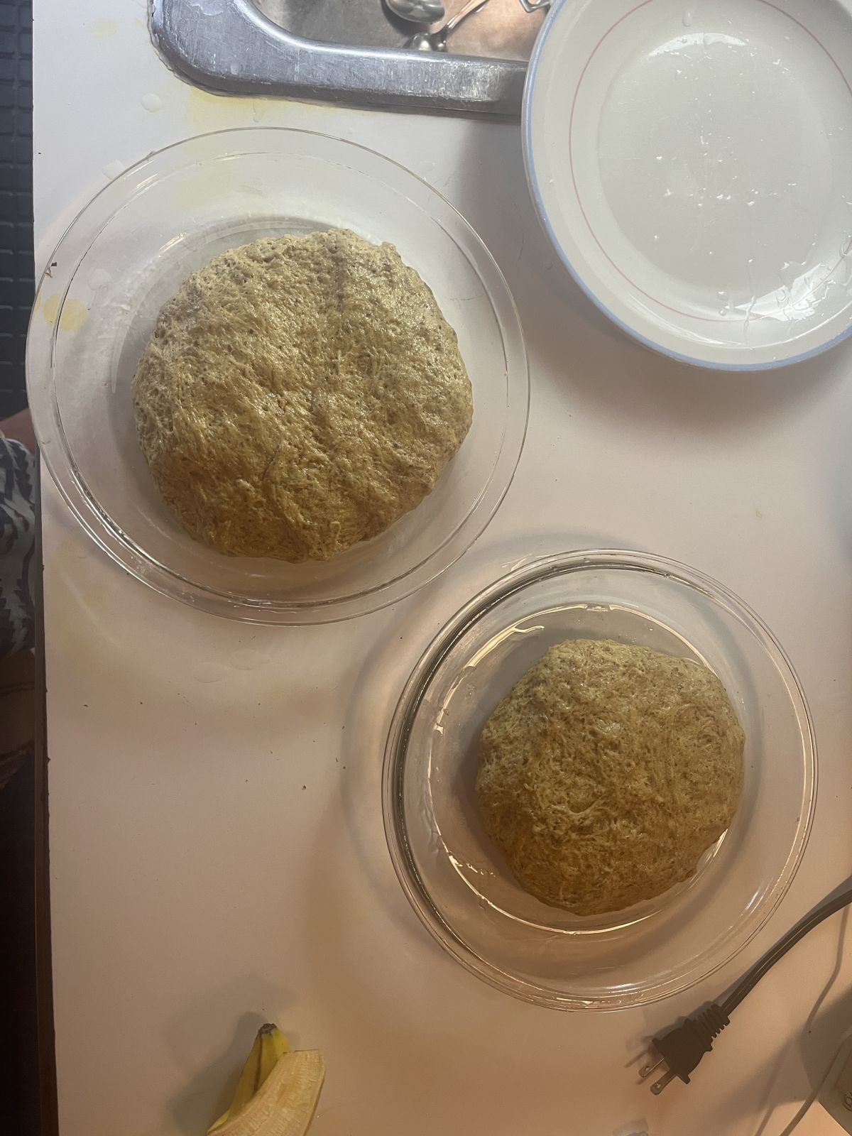seitan in pie plates prior to baking