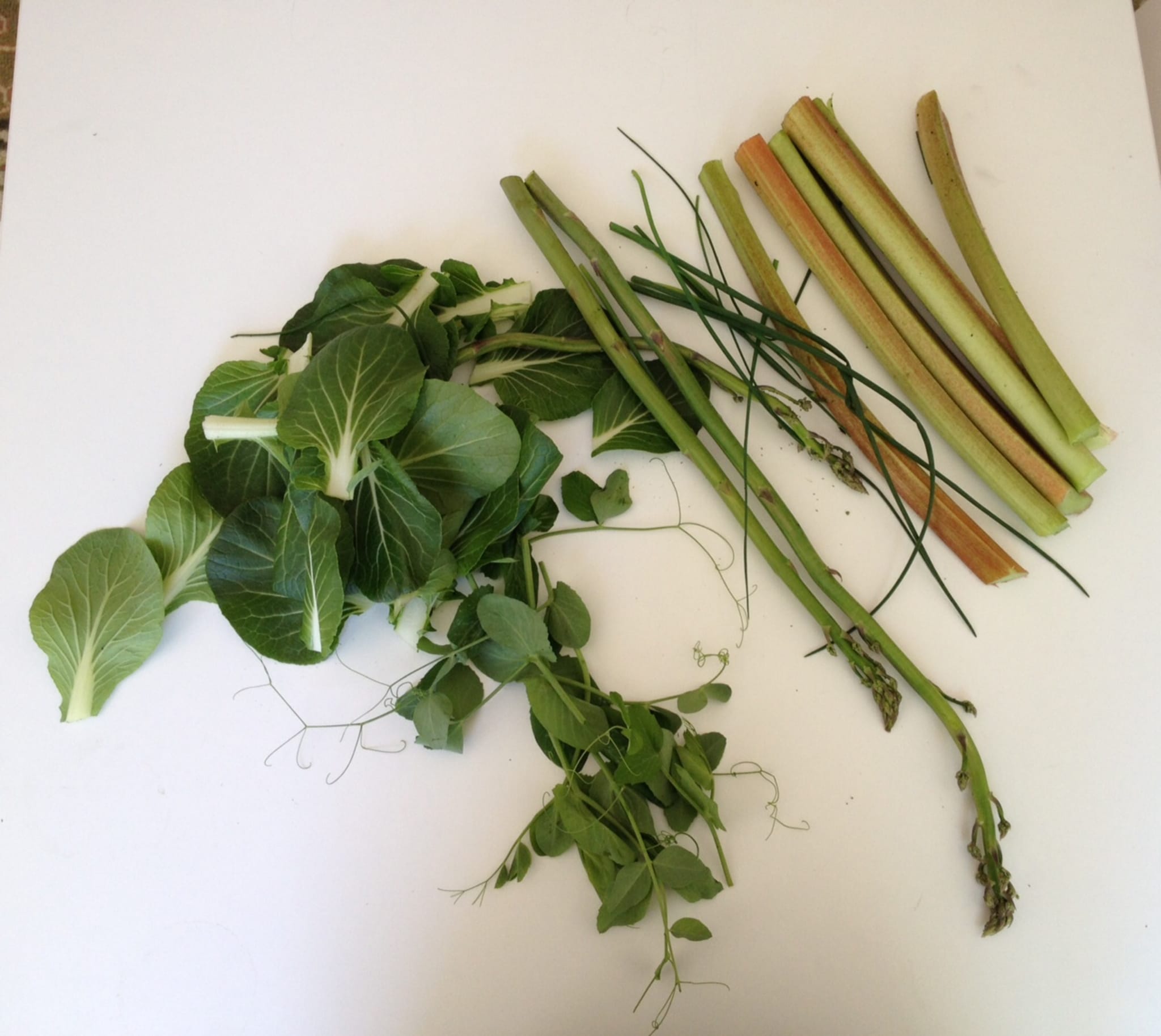 First Harvest