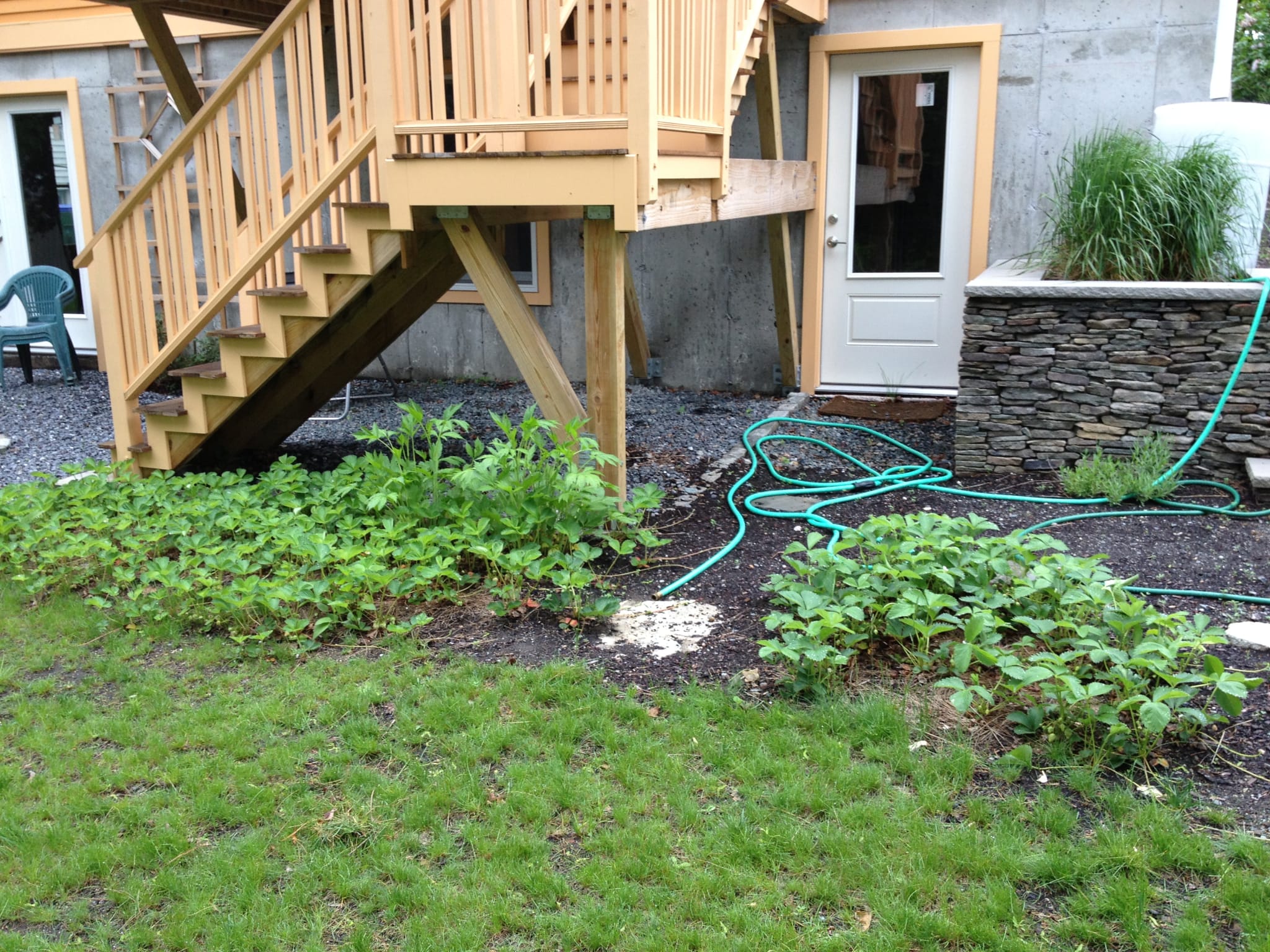 Garden May 24 2013