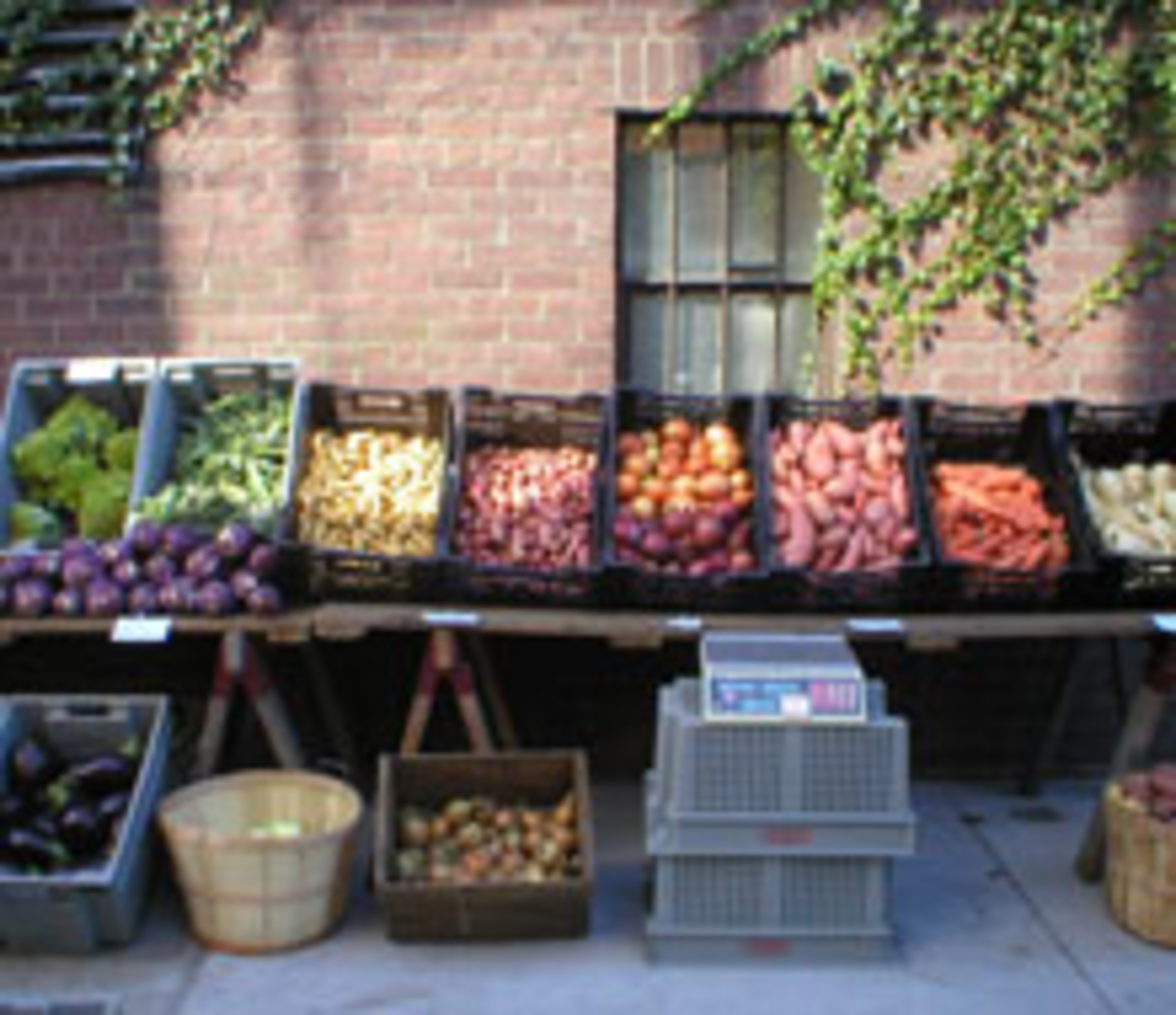 It’s Farm Share Time Again