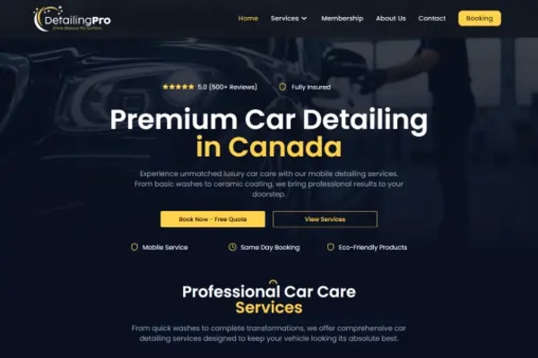 Detailingpro website designed by Nexgeno