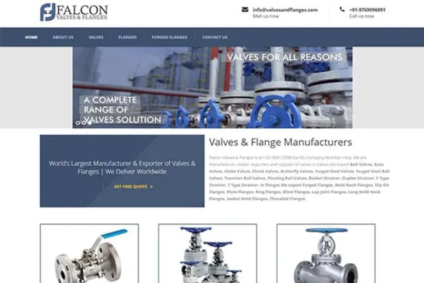Valves & Flanges website designed by Nexgeno