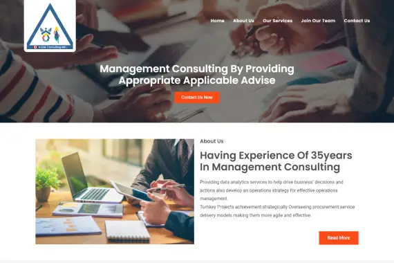 ASM Consults