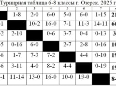 Завершился VIII-й традиционный турнир по хоккею на валенках среди школьников