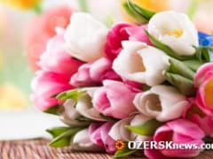 Депутаты Озерска вручили юбилейные медали ветеранам