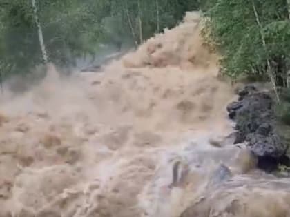 В посёлке Челябинской области из-за сильных ливней из берегов вышла река