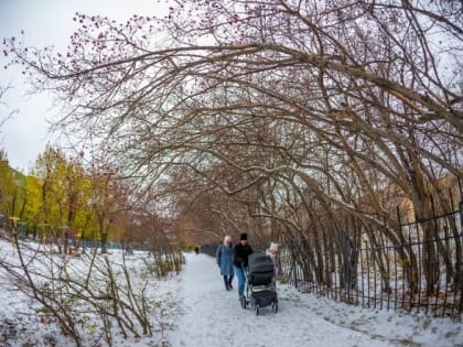 В Челябинске детям-инвалидам оплатят ремонт слуховых аппаратов
