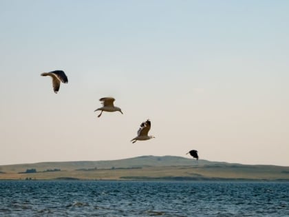 В МГТУ им. Г. И. Носова состоялся круглый стол «Итоги реализации проекта «ЭкоПост»