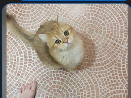 Понимание комплексных кадастровых работ