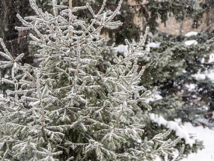 В школах Челябинска снова отменили занятия на завтра