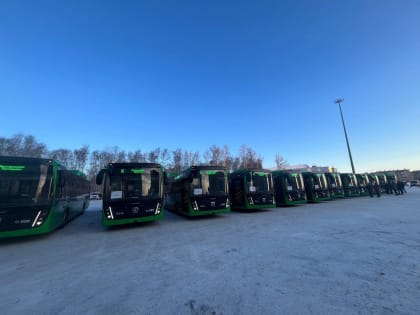 Городская транспортная инфраструктура