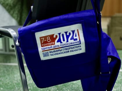 Выборы в Челябинской области: активное дистанционное голосование