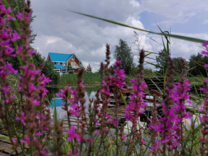 Дожди и прохлада ожидаются в Челябинске