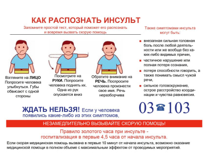 ИНСУЛЬТ. ДИСПАНСЕРИЗАЦИЯ – ПРОФИЛАКТИКА ИНСУЛЬТА