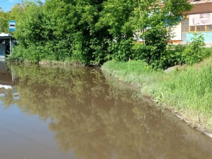 Читатели пишут №1747