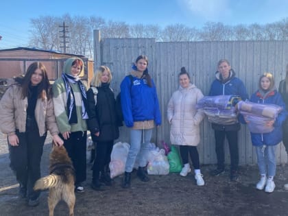 Партийцы посетили челябинский приют «Хочу домой»