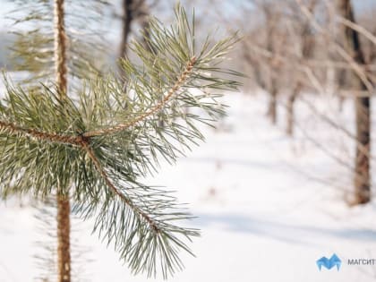 В начале февраля в Магнитогорске потеплеет