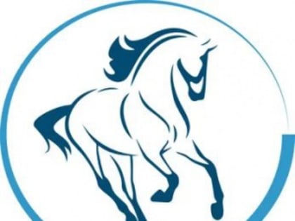 Снежинцы приглашаются на скачки в Троицке