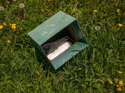 Загадка для 