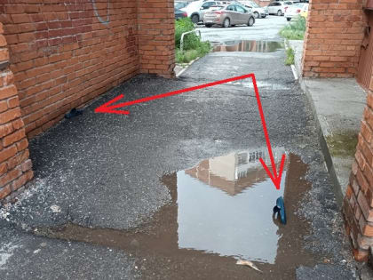 Что бы это значило