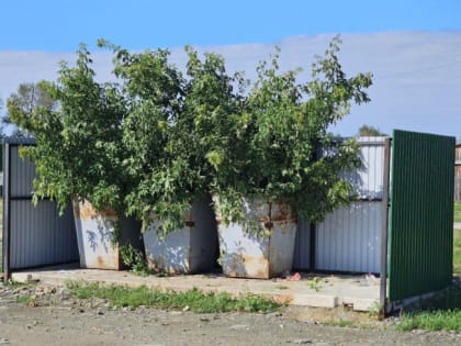 Аномальные отходы в мусорных баках Челябинска