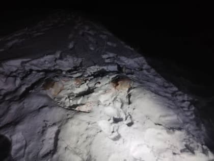 В Аргаяшском районе задержали браконьеров