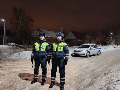 В Магнитогорске сотрудники Госавтоинспекции задержали грузовик, гружёный лесом без документов