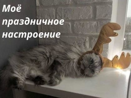 Коротюльки. Юмор на выходные (16+)