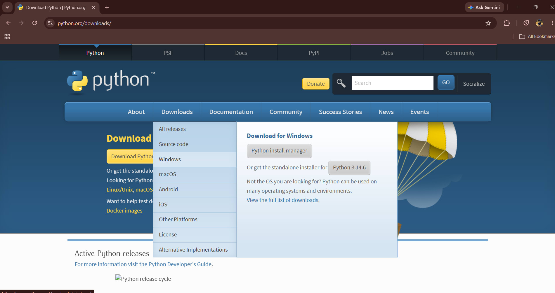windows section