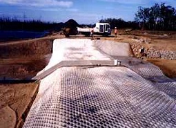 Estructura B