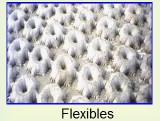 Modelo estructural flexible