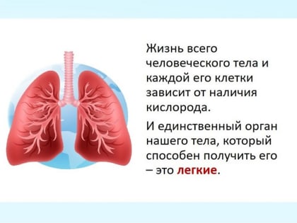 С 6 по 12 мая — Неделя сохранения здоровья лёгких