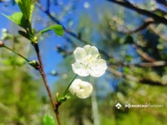 Погода в Твери: холода продлятся до конца выходных