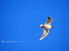 В Твери побит температурный рекорд 18-летней давности