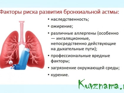 Неделя сохранения здоровья легких(в честь Всемирного дня по борьбе с астмой 7 мая )