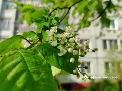 Погода в Твери сегодня: солнечно, но прохладно