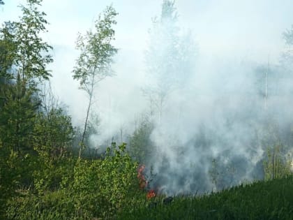 Региональное управление МЧС предупреждает о высокой пожарной опасности в Бологовском округе