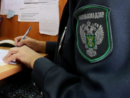 Консервы из 16 века: в одном из продуктов обнаружили повышенное содержание мышьяка