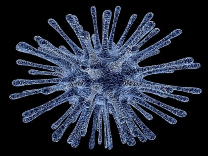 Новая угроза: Лихорадка Марбург вызывает беспокойство у медиков