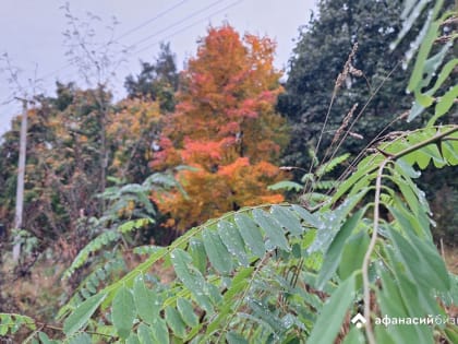 Погода в Твери: Прогноз на ближайшие две недели