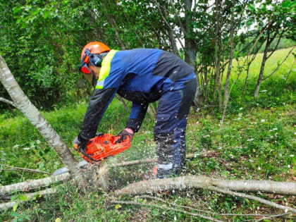 Энергетики «Тверьэнерго» подготовили электросетевой комплекс к пожароопасному периоду
