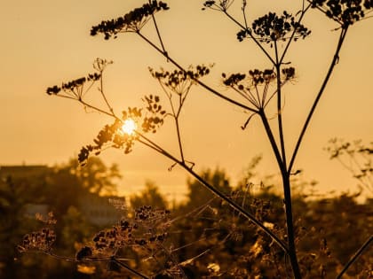 Глобальное потепление и его последствия для климата
