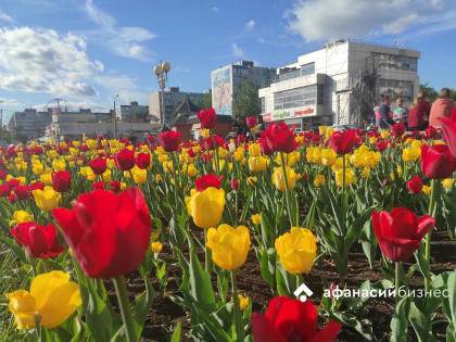 Прогноз погоды в Твери: май возвращается и ведет к нам лето