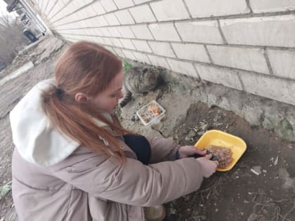 Всероссийская акция «Добро в Движении»