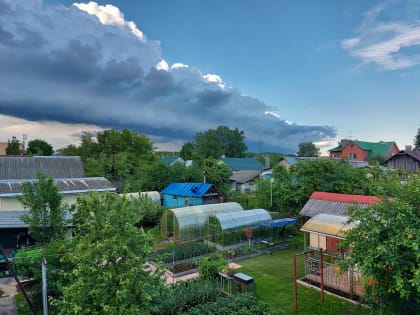 Возвращение к нормальности: что приготовила погода для жителей Верхневолжья на вторую неделю июля