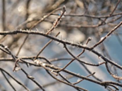 Жители Тверской области в 2024 году вновь смогут определить объекты благоустройства