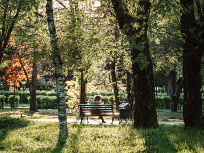 Погода на последнюю неделю августа в Верхневолжье