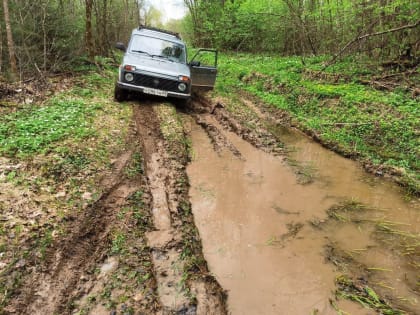 «Не дойти и не доехать». В Нелидовском городском огруге многодетным семьям выделяют участки в глухом лесу