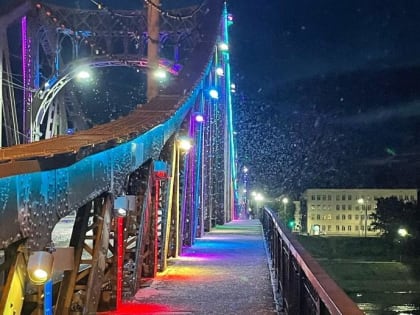 Ночью в Твери на Старом мосту была «метель» из насекомых