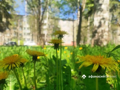 Погода в Твери сегодня: солнце светит, температура воздуха повышается